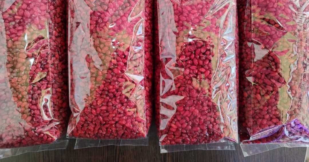 بار برای ارسال دارم